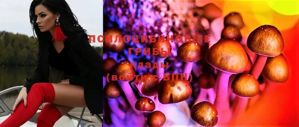 стаф Нягань