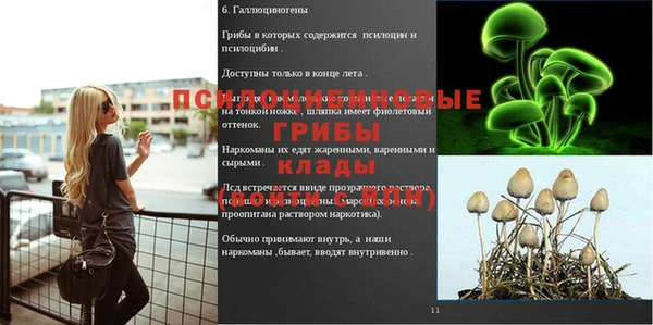 каннабис Няндома