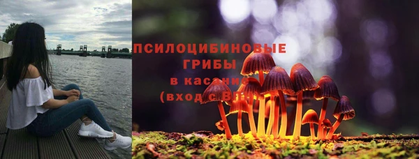 стаф Нягань