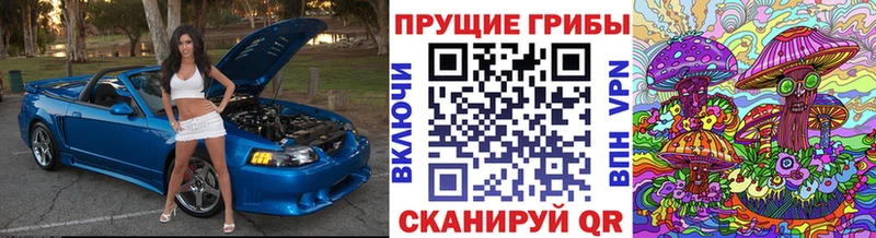 Галлюциногенные грибы MAGIC MUSHROOMS  Питкяранта 