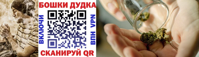 Конопля семена  где можно купить наркотик  Питкяранта 