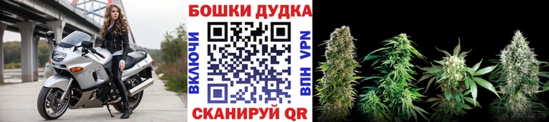 Конопля тримм Питкяранта